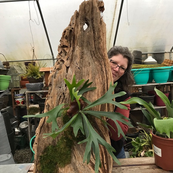 Meet your Posher, - Picture 2 of 2